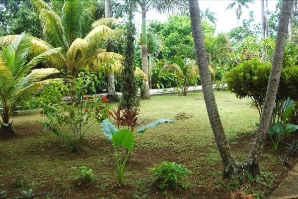 Hotel Pure Garden Resort Negril (Whitehall)